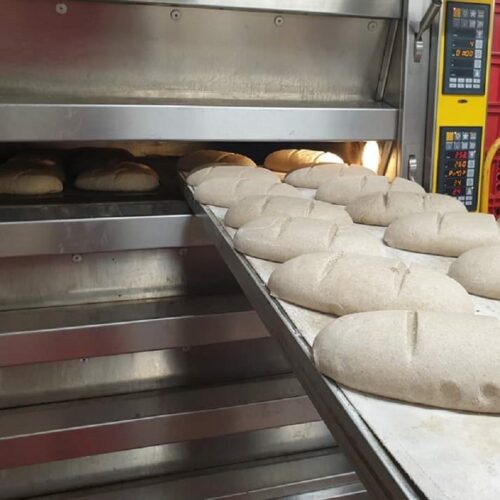 Brot/Brötchen FB_IMG_1710503062766